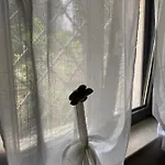 Terre Di Kalia 切列梅萨皮卡