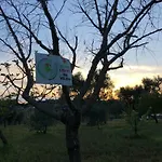 Terre Di Kalia 4* 切列梅萨皮卡