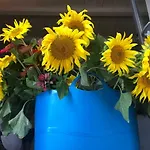 住宿加早餐酒店 Terre Di Kalia 4*