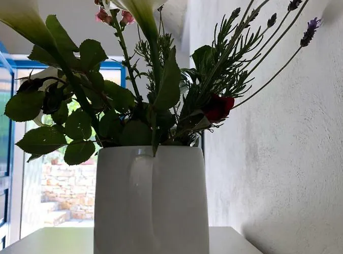 فندق مبيت وإفطار Terre Di Kalia