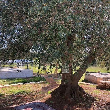 Bed & Breakfast Terre Di Kalia 4*