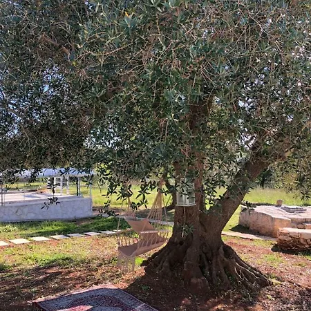 Bed & Breakfast Terre Di Kalia *