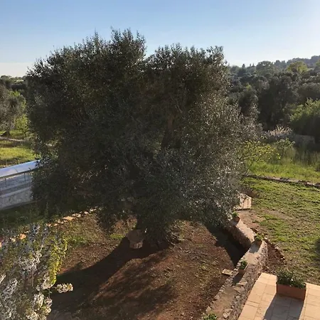 Terre Di Kalia 4* 切列梅萨皮卡