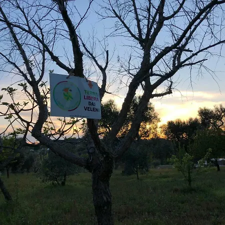 Terre Di Kalia 4* Ceglie Messapica