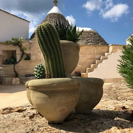 住宿加早餐酒店 Terre Di Kalia 4*