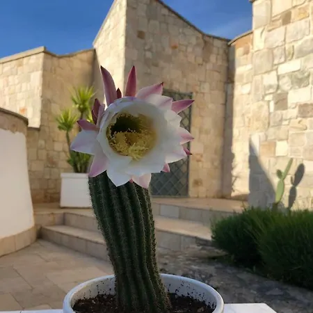 Terre Di Kalia Frühstückspension