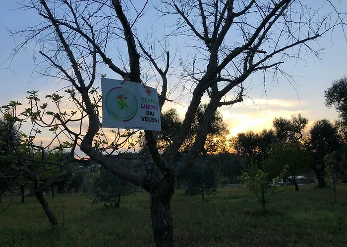 Terre Di Kalia 4* Ceglie Messapica
